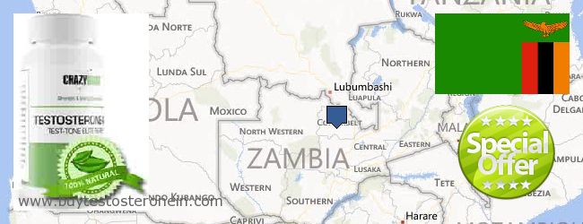 شراء Testosterone على الانترنت Zambia حيث لشراء Testosterone على الانترنت Zambia